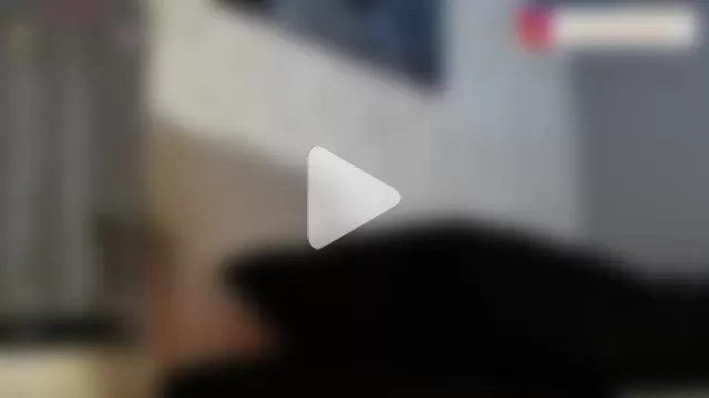 stift_milarc2 photo 12