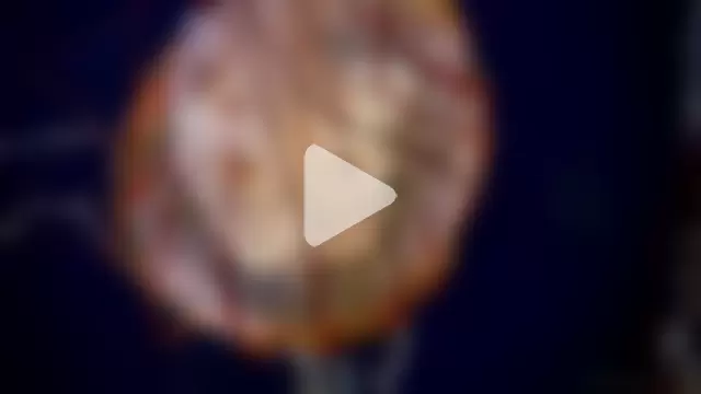 streamy_test13 photo 10