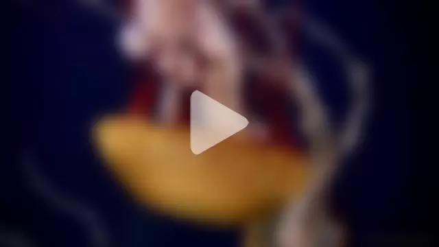 streamy_test13 photo 9