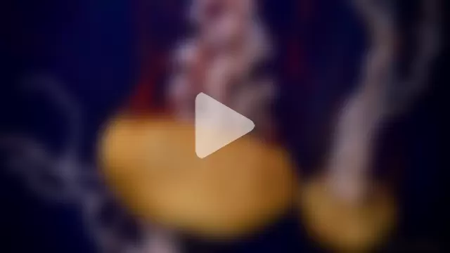 streamy_test13 photo 8