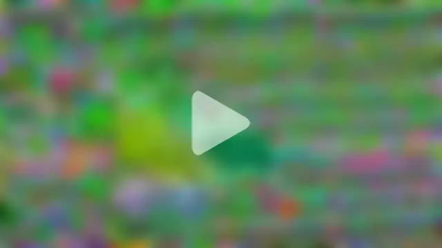 stressreliever94 photo 18