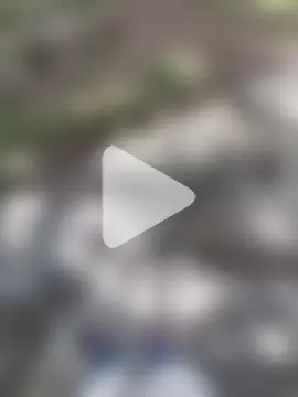 sudhastriper photo 7