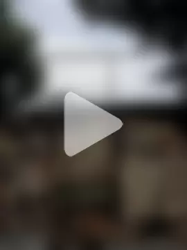 sweet_outdoor_charm photo 2