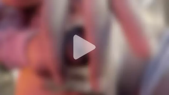 sweetest_bella photo 5