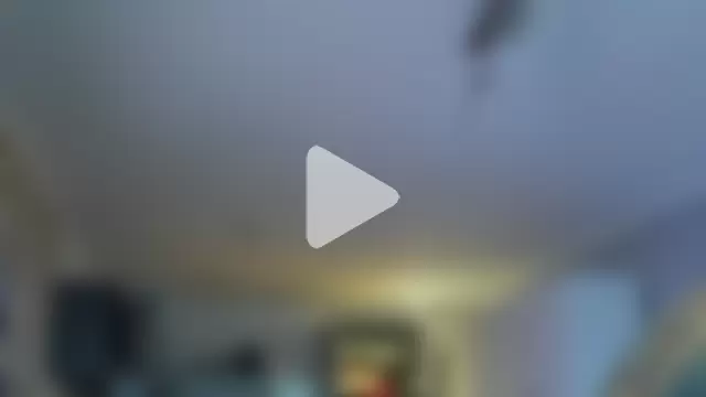 tamarapervert photo 23