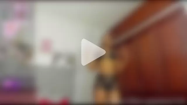 tammy__brown photo 21