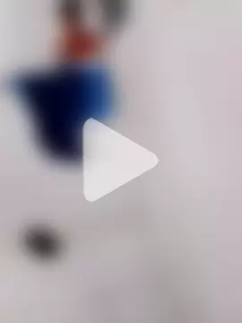 taradobbsafadok photo 1