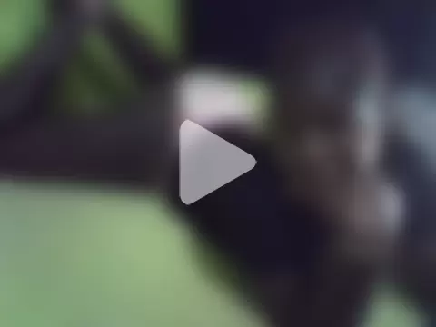 tasha-ashah photo 20