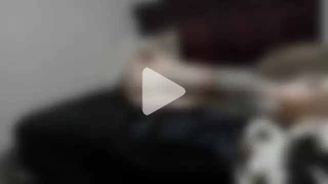 tattoofly563 photo 24