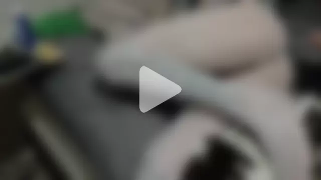 tattoofly563 photo 4