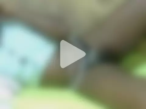 teresita_02 photo 13