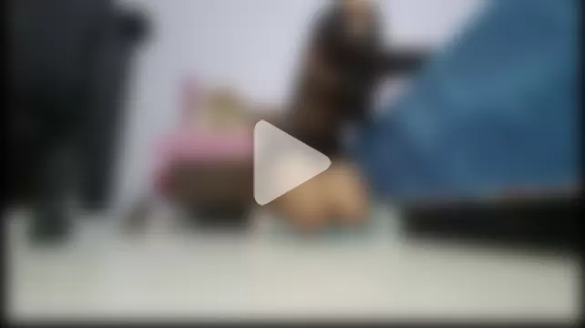 thLorrayne_ photo 18