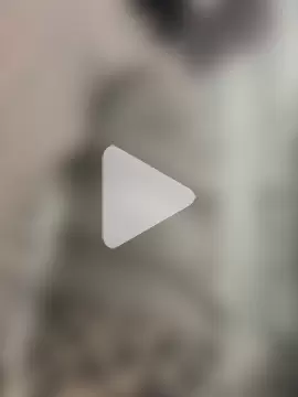 thaliacollins photo 22