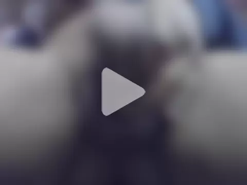 tharki-anand photo 13