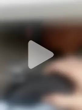 the_lion_69 photo 21