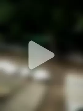 the_queen_of_street photo 1