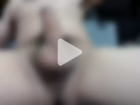 thejavier03_ photo 14