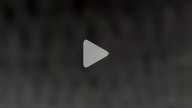 thywyldst69 photo 2