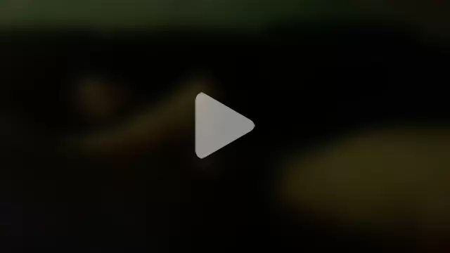 timothygonterman photo 1