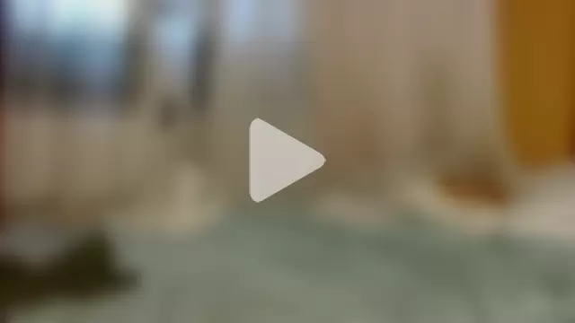 titi_fiesta photo 22