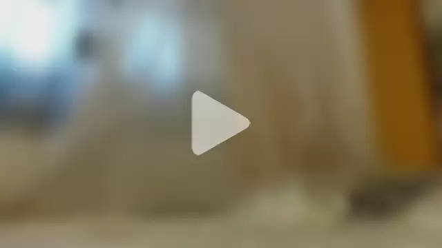 titi_fiesta photo 11