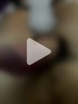 trapanetor64 photo 11