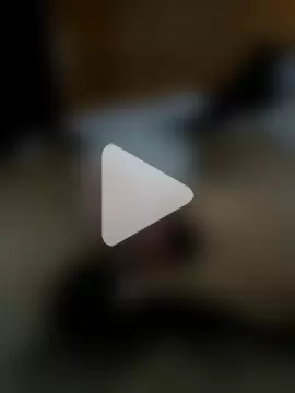 trapanetor64 photo 9