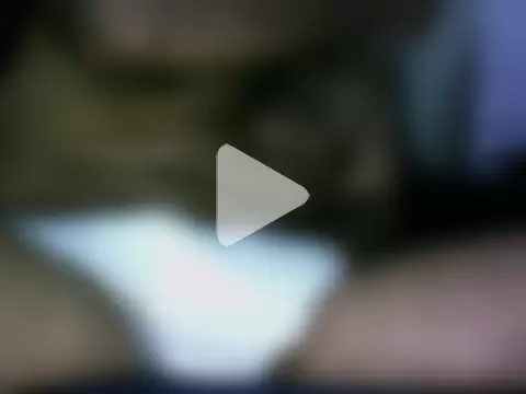 trdancingbear photo 1