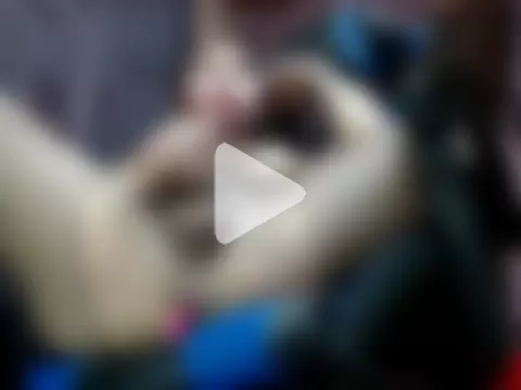 tsmissindependent01 photo 16