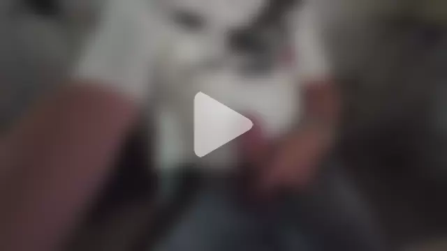 turkishdaddy86 photo 20