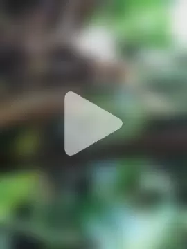 tuwegon photo 11