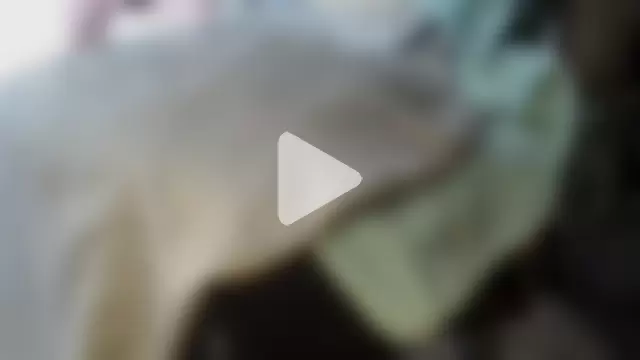 universalwatcher5591 photo 3