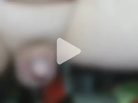 universalwatcher5591 photo 2