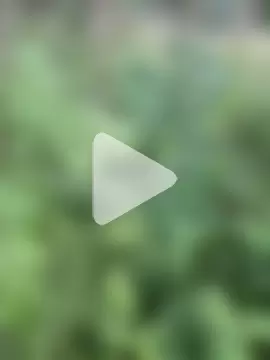 utoopia777 photo 3