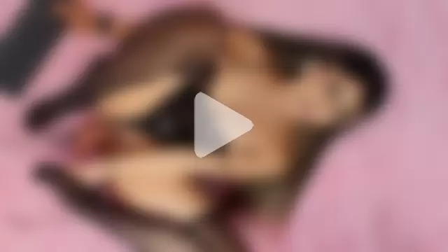 vanesa_manson photo 16