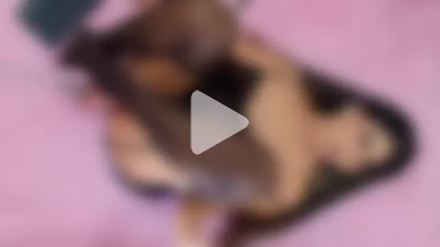 vanesa_manson photo 4