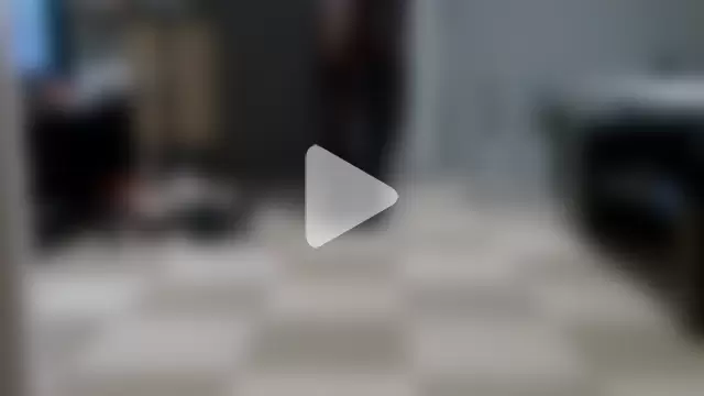vanessadeesse photo 18