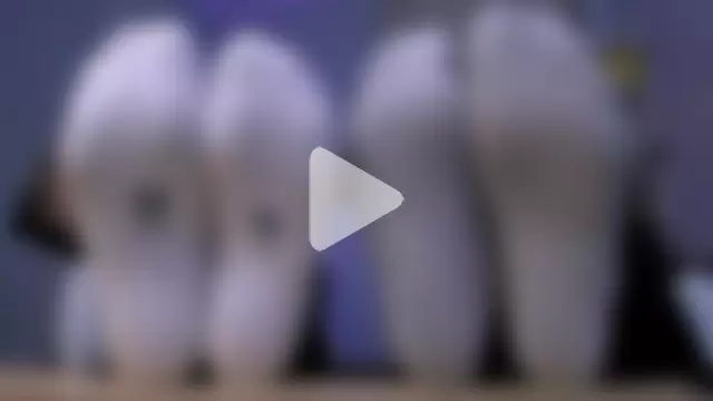 veronica_bubble photo 12