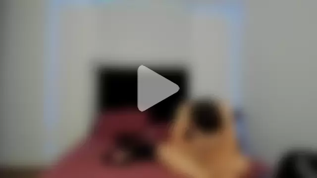 victoriacolin photo 11