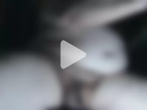 viejo65pajero photo 2