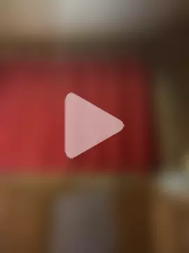 vien_pussy69 photo 1