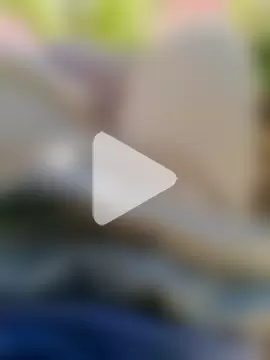 virgindick1 photo 7