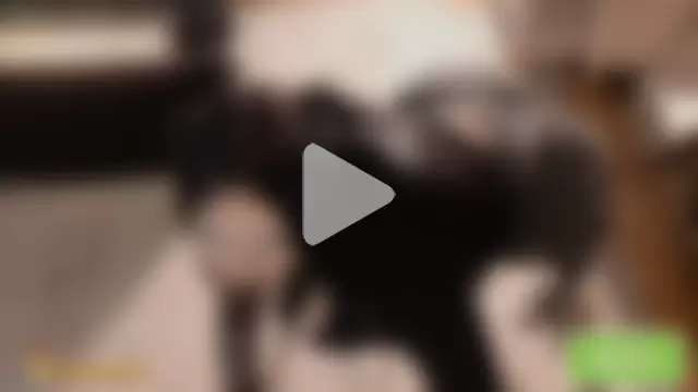 vulagarmanners_ photo 21