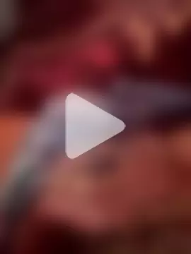 wajdi-wa7ch photo 10