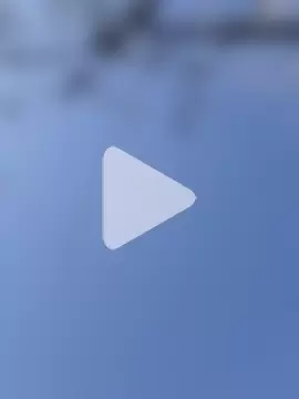wedge75 photo 10