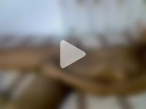 weusi12wetu photo 22