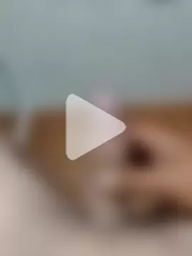 xandeenara25 photo 1