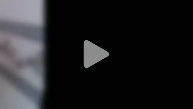 xiao-xiao-D photo 16