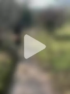 xiaowen1314 photo 21