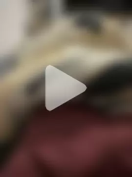 xsamuel0 photo 20
